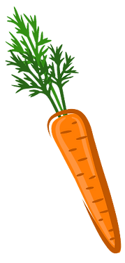 1 carrot.png